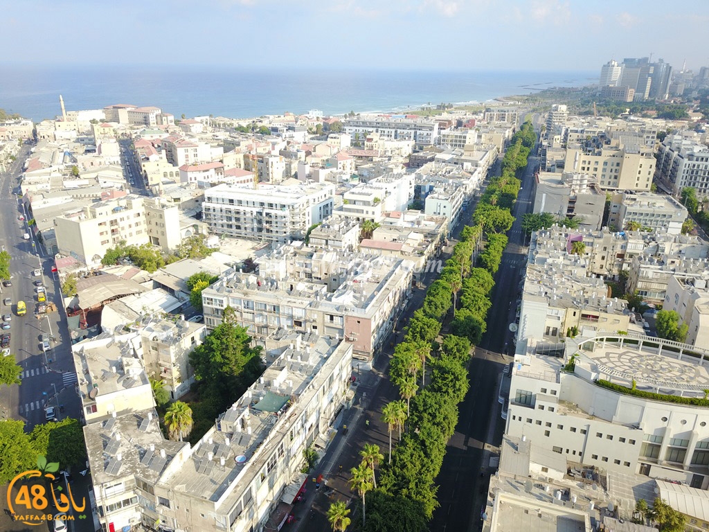 jamal basha tsterre (11).JPG